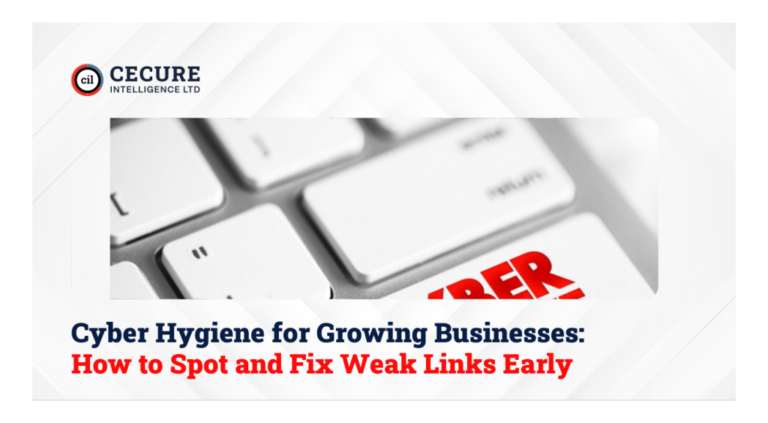 Cyber Hygiene for Growing Businesses: How to Spot and Fix Weak Links Early