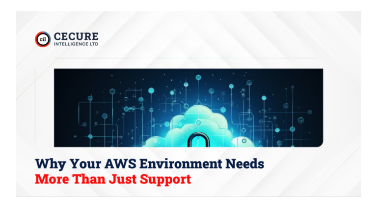 Why Your AWS Environment Needs More Than Just Support